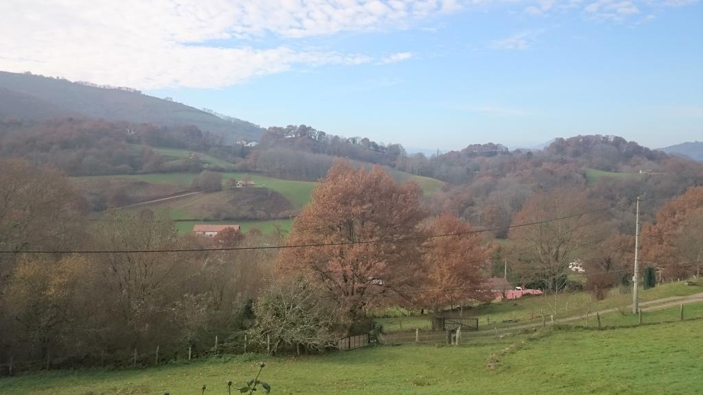 Apartamento Rural Oizalde Elizondo Buitenkant foto