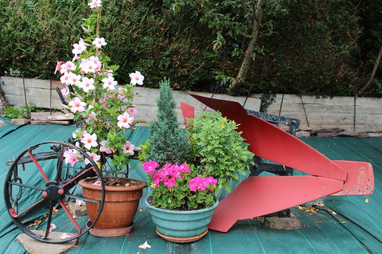 Apartamento Rural Oizalde Elizondo Buitenkant foto